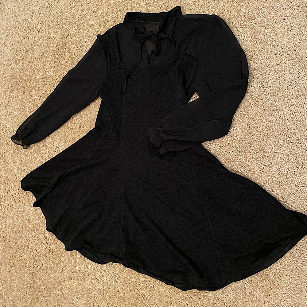 Black Mini Dress with Sheer Sleeves